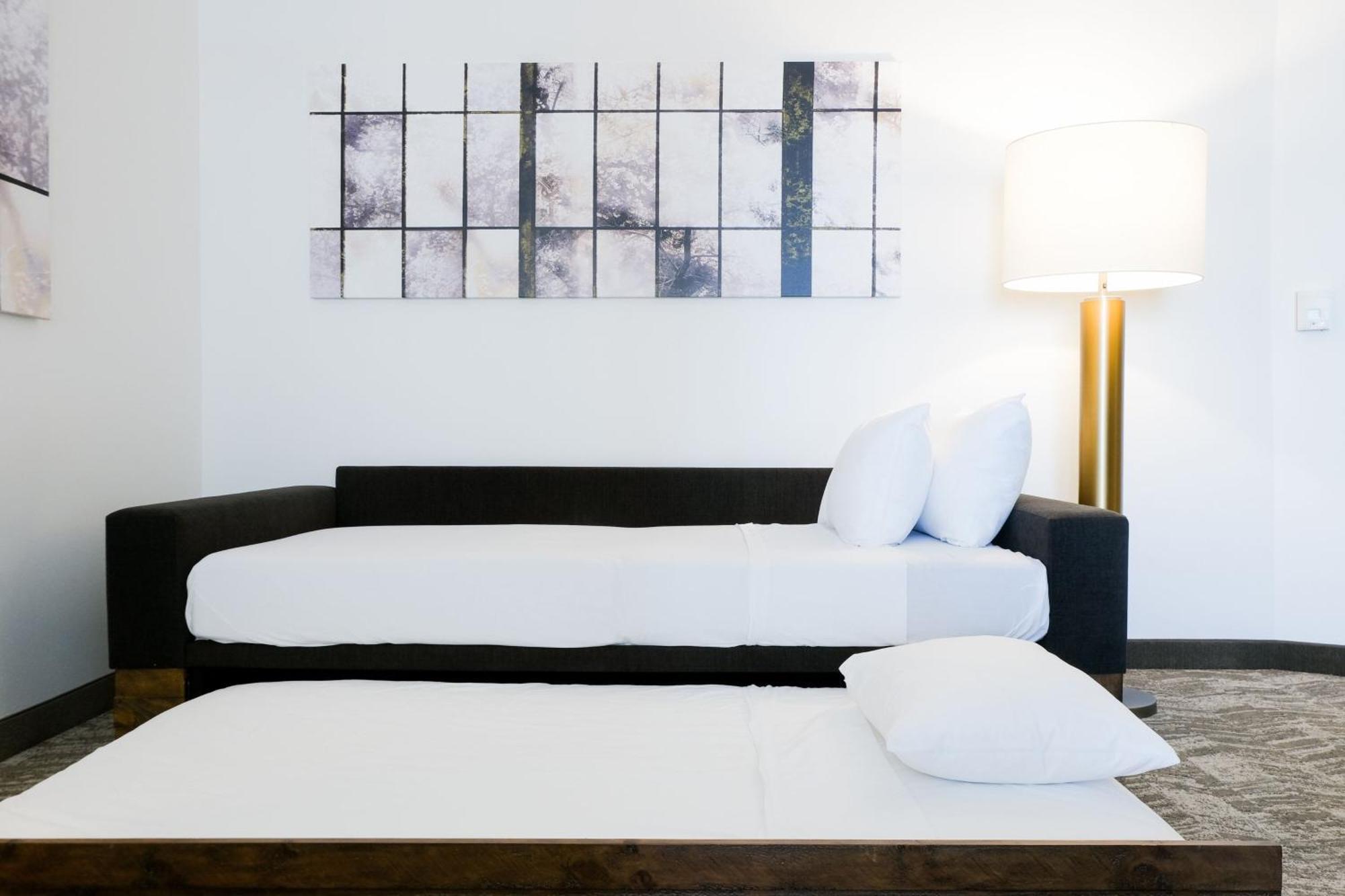 Springhill Suites By Marriott Dallas Richardson/Plano Buitenkant foto